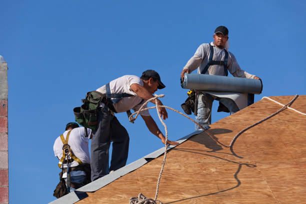 Best Roof Gutter Cleaning  in Chauvin, LA